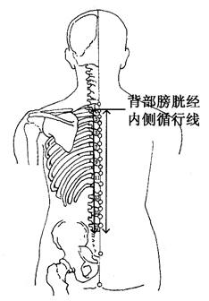 ͼ2-4-2׾ڲѭ