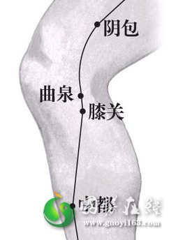 曲泉穴位位置图